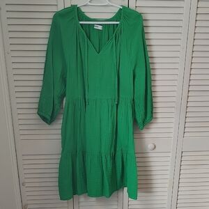 Sonoma Vibrant Kelly Green Dress